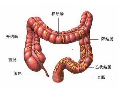 结肠炎早期症状