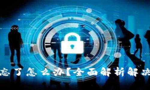 数字钱包助记词忘了怎么办？全面解析解决方案及应对策略
