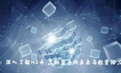 : 深入了解MS币：虚拟货币