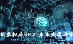 全面解析虚拟币BMX：未来