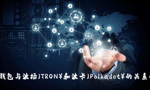 :TP钱包与波场（TRON）和波卡（Polkadot）的关系解析