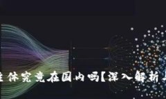 TP钱包的主体究竟在国内吗