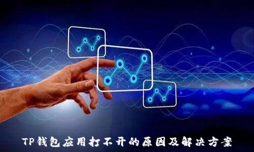  
TP钱包应用打不开的原因及解决方案