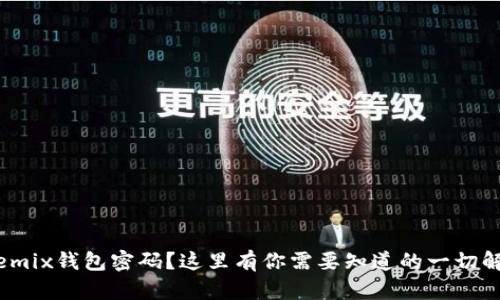 忘记Wemix钱包密码？这里有你需要知道的一切解决方案