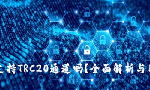 tP钱包支持TRC20通道吗？全面解析与用户指南